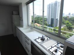 Balmoral Crest (D10), Apartment #476134621